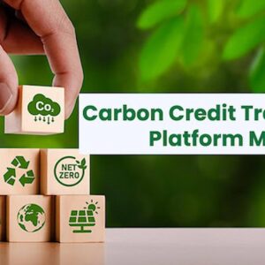 Everything You Need to Know About Carbon Credit Trading in the UK