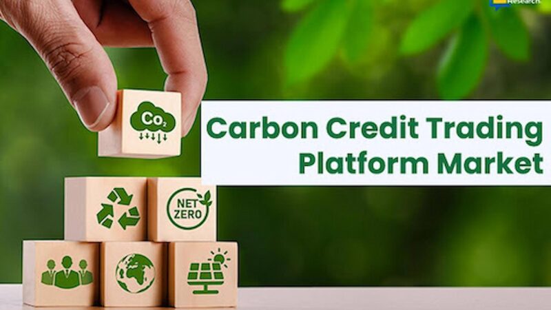 Everything You Need to Know About Carbon Credit Trading in the UK