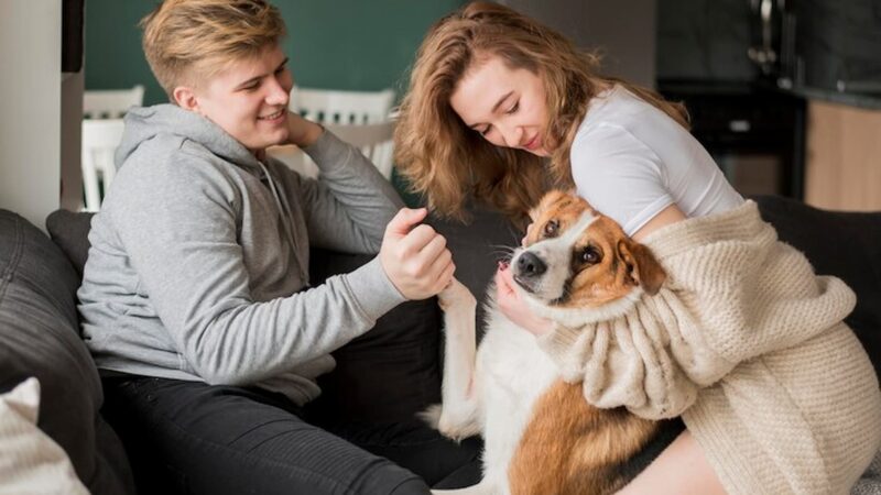 Smart Organisation Tips for a Stress-Free Living Space