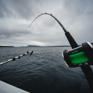 How Technology is Changing Modern Fishing