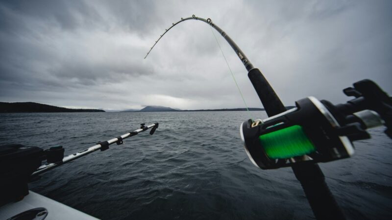 How Technology is Changing Modern Fishing
