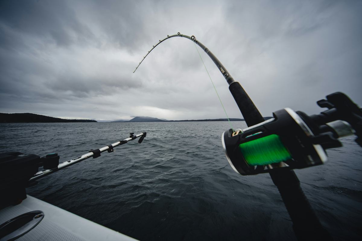 How Technology is Changing Modern Fishing