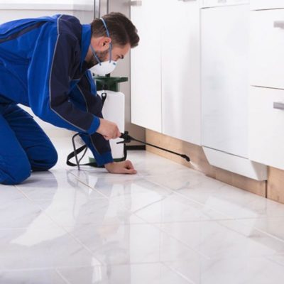 How To Finalize A Pest Inspection Agency For Your Home?