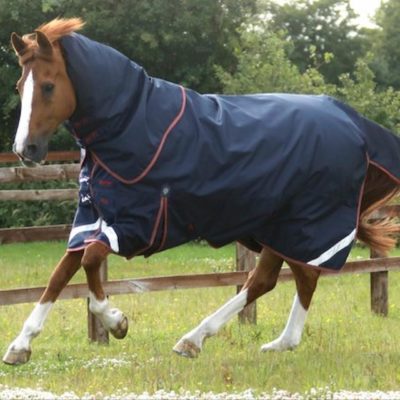 Does Your Horse Need A Neck Cover?
