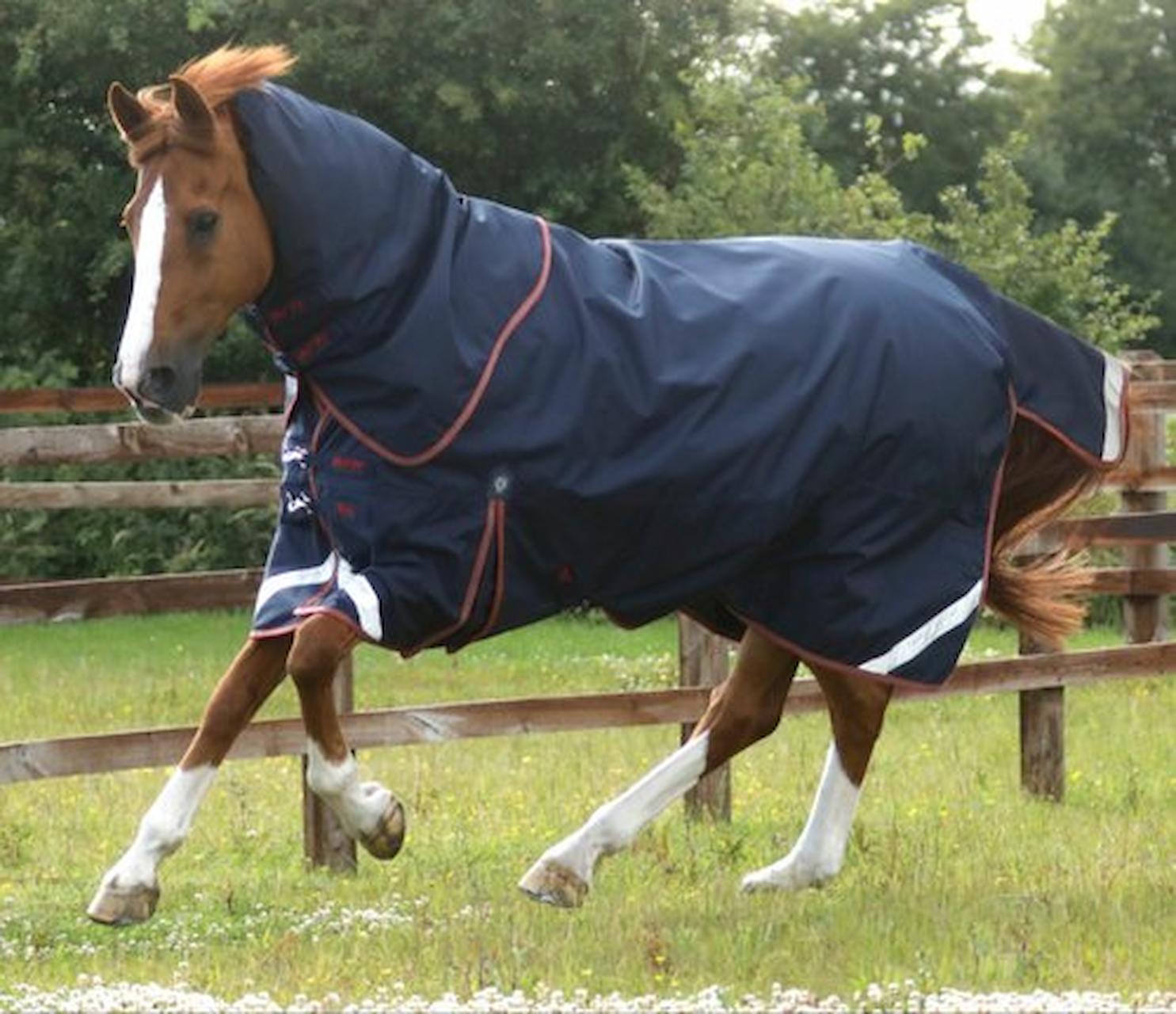 Does Your Horse Need A Neck Cover?